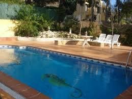 Chalet con piscina